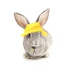 Dog Apparel Hat Pet Decoration Guinea Roleplay Costume Animals Mini Supply Felt Garment Accessory Small Clothes