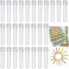 6pcs 40 ml tubes à essai en plastique vide mini pot à vis à vis à vis de rangement épices de rangement de rangement