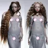 ShugaFairy PreOrder SP Phyllis with 2023 B Type New Body Ball Jointed Dolls