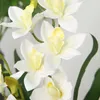 Kwiaty dekoracyjne 1PC sztuczna jedwabna orchidea z liśćmi Xiaohuilan Wedding Hall Stomowa salon sypialnia Symulacja Kwiat Kwiat