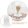 Vases Astheticroom Decor Glass Display Cases Collections Preserved Flower Astetic Air Terrarium