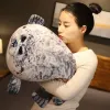 Oreiller de phoque simulé, aquarium populaire soft sceau poupée voyage commémorative en peluche jouet pour enfants cadeau de Noël