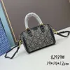 Women's Classic Printed Luxury Messenger Lady Purse Totes Wide Strap Shoulder Bag Handbag Designer Square Crossbody Bags