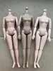 1/6ドールボディ16ジョイントDIY Movable Nude Naked Doll Body for 1/6 pp/fr/babi Super Model House DIYボディドールアクセサリー