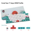 アクセサリーロシアコーラルシーOEMプロファイルキーキャップPBTキーキャップ60％dyesub 71 GK61/RK61/ANNE/ALT61ゲーマーメカニカルキーボードのキーセット