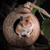 Natural Small Pet Coconut Cages Pet Cage for Hamster Guinea Pig Mice Squirrel Wooden House for Rat Rodent Small Animal Nest