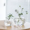 Kreative einfache kleine Granatapfel -Glasvase Desktop Hydroponic Schöne hydroponische Blume Ornament Home Decor Vase Transparent