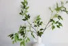 39.5 Faux Real Touch Elm Siberian Leaf Branch Greenery Artificial Greenery Diy Boda/Casa/Decoraciones de cocina Diy Floral 240409