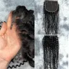 Cheveux indiens crus 4x4 fermeture en dentelle transparente Coupe de cheveux humains bouclés Piscue de cheveux humains pré-girline