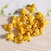 10 pezzi/lotto in resina 3d popcorn cibi ciondoli Breloque kawaii simpatico ciondolo snack per la custodia del telefono decorazioni gioielli che producono accessori in blocco