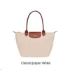 2024 Women Tote Bag Mode Achselbeutel große Kapazität Nylon Umhängetasche Retro Handtaschen Designer Crossbody Bag Orange Bags 10a 12a