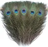 10PCS 25-30CM Real Natural Peacock Eye Feathers for DIY Craft Costume Bridesmaid Corsage Wedding Christmas Holiday Decoration