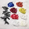 5pcs de bonne qualité Silk délicat à paillettes brodées en or