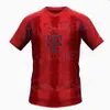 Kane Soccer Jerseys 24 25 Bayern Football Shirt Sane Kimmich Muller Davies Coman 2024 Home Goretzka Gnabry Mane Jersey Musiala Men Kids kits stiforms 4xl