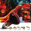 E27 Wärme -Glühbirnen -Sterlizer -Lampe 25/60/100W PET Infrarot Heizlampe Reptilienschildkröte Amphibien Eidechsen Temperaturkontrolle