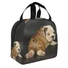 Sac à lunch bulldog anglais mignon portable isolé thermique thermique british chien déjeuner tote pour les femmes enfants bento de la nourriture scolaire