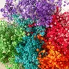 80G Mix Gypsophila Baby Breath Suszony bukiet Bukiet Boho Wedding Po Dekoracja Prop Ochrony Gypsofil Washer Wase Decor 240328