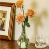 Vasi di vetro in vetro vintage francese Mini Vaso Ins Decorazione di tavolino idroponico per il vento