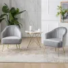 Nordic Living Room Armchair Ins Design Velvet Chair Balcony Relax Cafe Chair Modern Ergonomic Luxury Single Sofa Makeup Chair