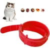 Anti Flea Mite Tick Collar No Flea verzorging Viervoudigen effectief verwijderen Flea Bescherming Pet Kitten Remedie Hals Haal Pet Supplies Cat