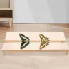 Toy Tools Butterfly Wings Experiment Board Adjustable Butterflies Spreading Insects Pinning Metal Specimen Making