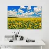 Paysage tournesol canvas de lumière du soleil peinture de nature affiches au lever du soleil et imprimés images d'art mural salon décoration intérieure sans cadre