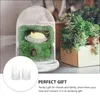 Vases 2 PCS Bell Dome Cloche avec verre de base en verre Terrarium Couvercle Cake Dissert Affichage décoratif Case décorative pour les plantes succulentes