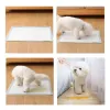 20pcs Super absorbant Pet Diaper Dog Training Tamps pipi jetable Nappy Nappy Mat Pet Dog Ciders