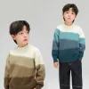 Iens teen boy sweater chaud pullouvers de haute qualité enfants pontons à col