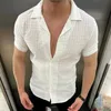 Camisas casuais masculinas 2023 Homens de verão Camisas de manga curta cor de cor havaiana de estilo havaiano casual Botões Slim Fit
