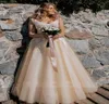 Elegant Plus Size Light Champagne Country Wedding Dresses ALine Vneck Sleeveless Floor Length Lace Appliques Long Tulle Bridal G7608686