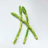 Fiori decorativi alimenti artificiali simulazione simulazione asparagi modelli oggetti