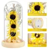 Fleurs décoratives séchées de tournesol en verre léger dôme lumineux décoration de la lampe