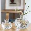 Kreative einfache kleine Granatapfel -Glasvase Desktop Hydroponic Schöne hydroponische Blume Ornament Home Decor Vase Transparent