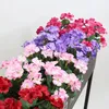 Dekorative Blumen 5 abgegebenes kleines Crabapple Geranium künstlicher Blume Plastik