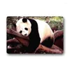 Tapis de cuisine Panda Panda Tapis Anti-slip Custom Area Rapis salon Balconie Salle de bain Tapis de salle de bain paillasson