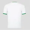 2023 2024 Irland Home Soccer Jerseys Kit Doherty Duffy 23/24 Away 2024 Euro National Team Third Ferguson McCabe Hendrick 2695