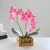 Decorative Flowers Simulated Flower Box Three-pronged Butterfly Orchid Bonsai Interior Decoration Ornaments Potted Plant