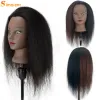 African Mannequin Head 100% réel Hair Haipressser Training Head with Trépied Manikin Cosmétologie Poupée Head for Braiding Style