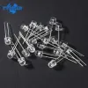 100pcs 5mm Straw Hat LED Diode Super Bright Lamp Light ضوء شفاف ينبعث منه الصمام الثنائي F5 DIY KIT الأزرق الأخضر باللونين الأبيض