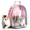 Cat Pet Transporteur sac à dos Capsule transparente Bubble Pet Sac à dos Small Animal Puppy Kitty Bird Breathable Pet Transporteur pour le voyage