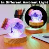 Display a sfera di cristallo a base di legno rotondo Luce LED Resina Resina Ornamento Ornamento Lampada Night Light