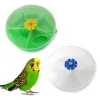 Papegoja tristess mördare behandlar foder leksaksroterbar hjulmatare hackande leksaker för liten fågel akrylbox mathållare k0aa