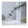 Creative Nordic House Forme Vase Transparent Plantes hydroponiques CONTENURE VERRE ARGENATION DE FLORICES DE LURME DÉCoration du salon de luxe