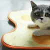 Letti per gatti mobili per formaggio torta gatto pet tappetino per sonno letto per compagnia morbido in cristallo in velluto su larga scala da letto di gatto domestico casa peluche per interno