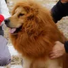 Dog Apparel Dogs Emulation Lion Hair Mane With Tail For Medium To Large Sized Max 80cm Head Circumference Pet Cosplay Cap Scarf