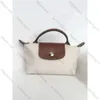 2024 Y2K FEMPS NOUVEAU SPRING AUTUME AUTOMNE MINE VOLI-MINE MINI MODE BACK DICHE Designer Sac Casual Bags Sacs et sacs à main Sacs de créateurs