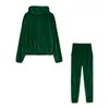 Women's Two Piece Pants Autumn Y2K Velvet 2 Set Outfits Hoodies Loose Streetwear Sportwear Women Ladies Oversize Tracksuit Clothing 2024