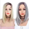 Ombre Black Silver Grey And R627613 Color Short Wigs Cosplay Bob Synthetic Hair Wigs Straight Parting Division For Women76623989923469