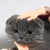 Palmvormige grappige mini -handen creatieve vingerwiegjes kleine hand plagen kittenkatten